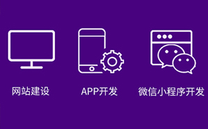 企業(yè)官網開發(fā)/APP開發(fā)和優(yōu)化問題